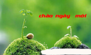 Khám phá Chỉ Số Cuộc Sống trong Thần Số Học