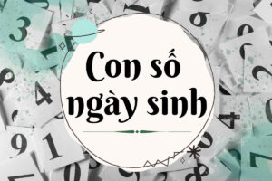 Khám Phá Y Nghĩa Biểu Đồ Ngày Sinh Nhân Số Học